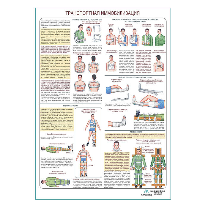 Транспортная иммобилизация, плакат глянцевый А1+/А2+