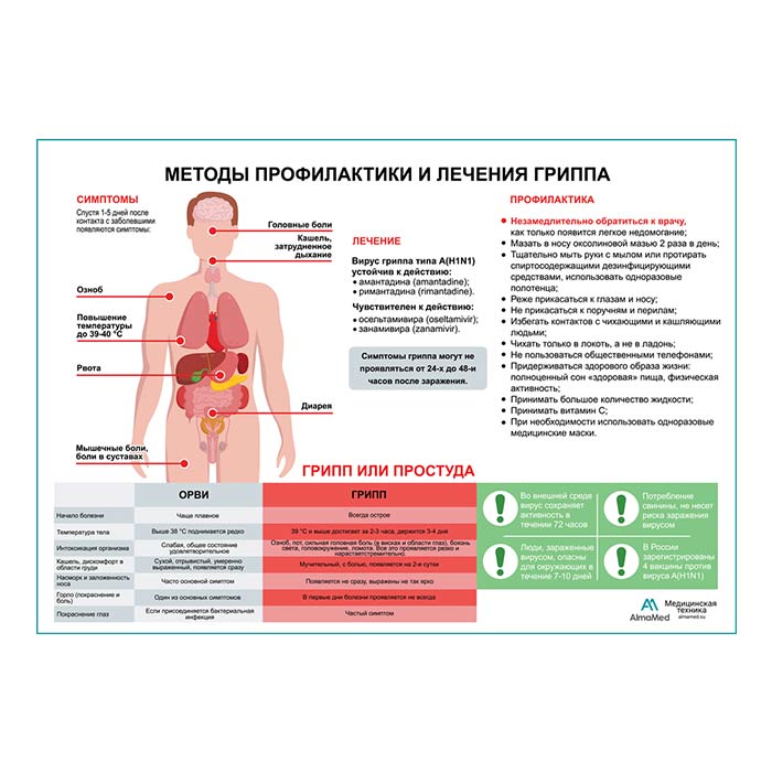 Грипп (горизонтальный) плакат глянцевый А1+/А2+