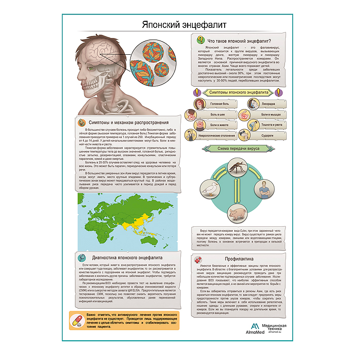 Японский энцефалит плакат А1+/A2+
