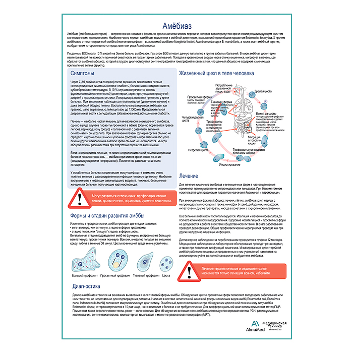 Амебиаз медицинский плакат А1+/A2+