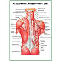 СПЕЦПРЕДЛОЖЕНИЕ