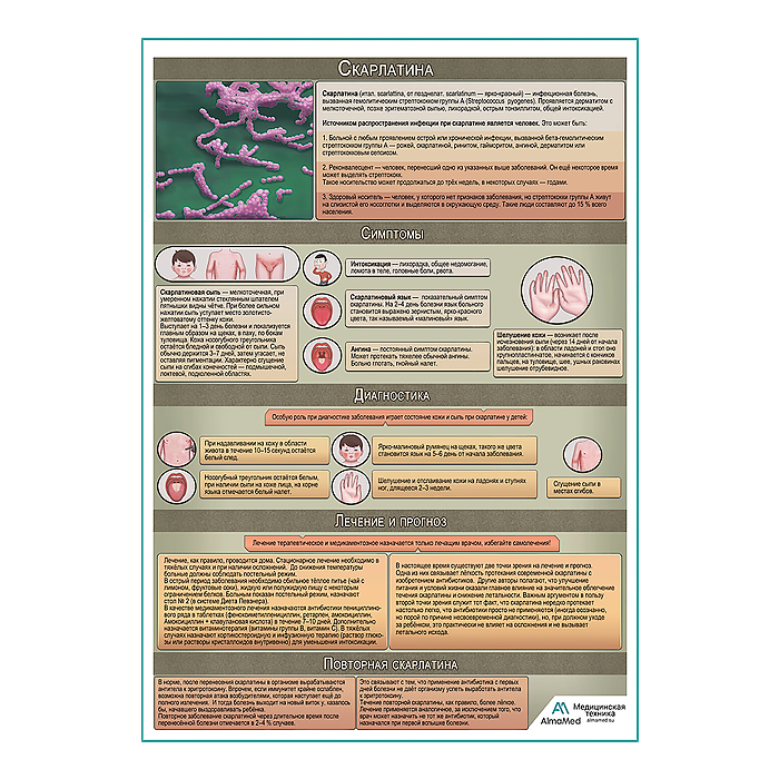 Скарлатина медицинский плакат А1+/A2+