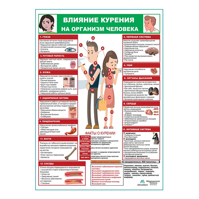 Влияние курения на организм человека плакат глянцевый А1+/А2+