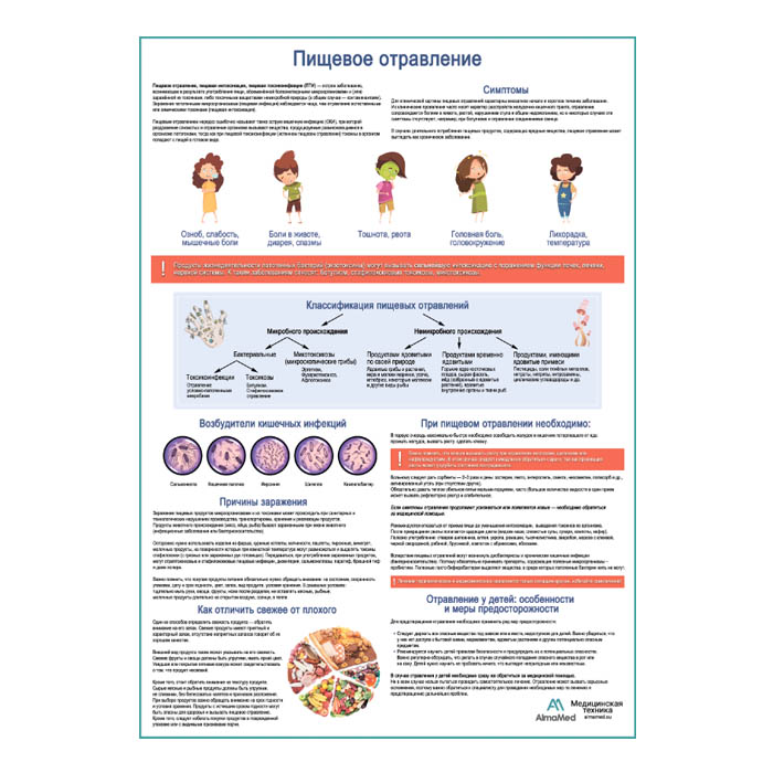 Пищевое отравление, медицинский плакат А1+/А2+