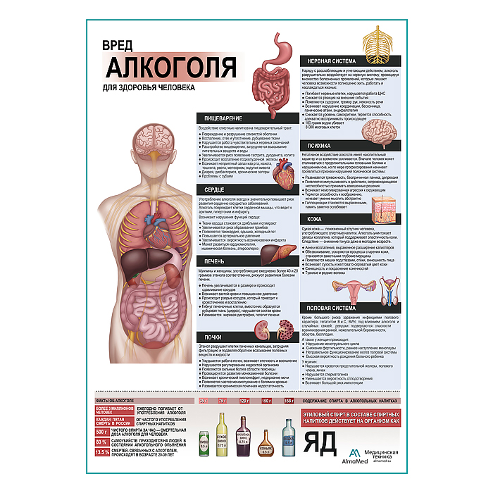 Вред алкоголя для здоровья плакат глянцевый А1+/А2+