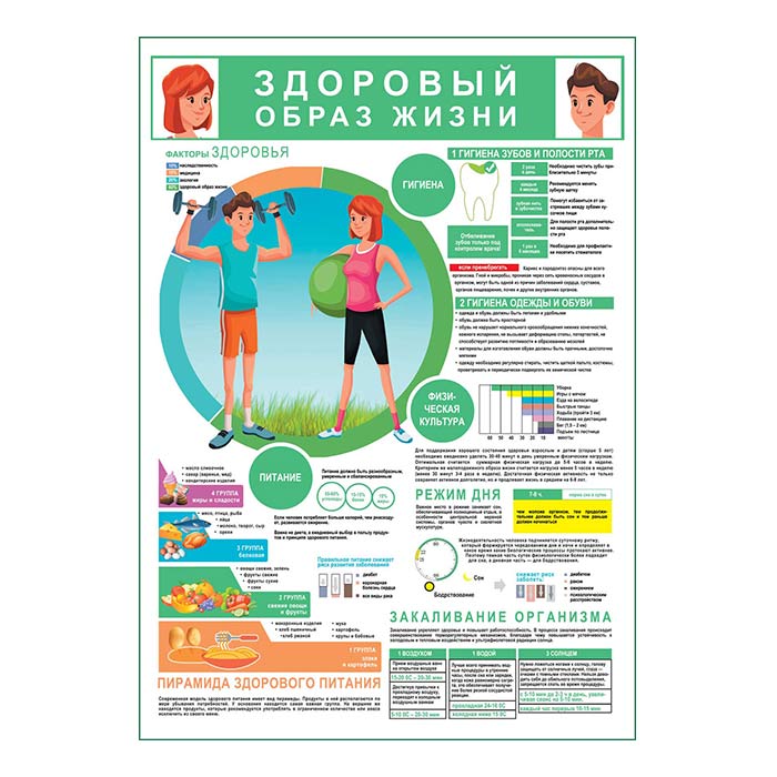 ЗОЖ гигиена спорт питание плакат глянцевый А1+/А2+