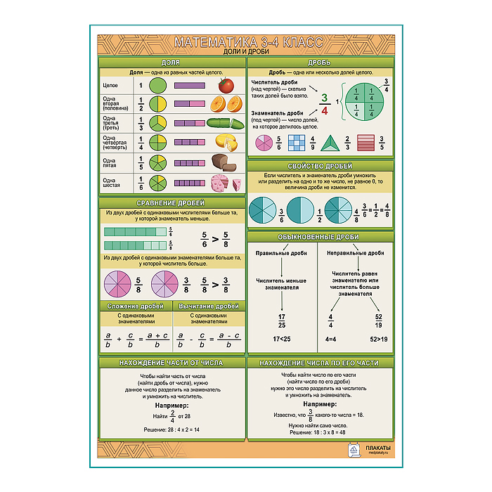 Математика 3-4 класс Доли и дроби плакат А1+/A2+